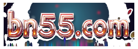 bn55com logo